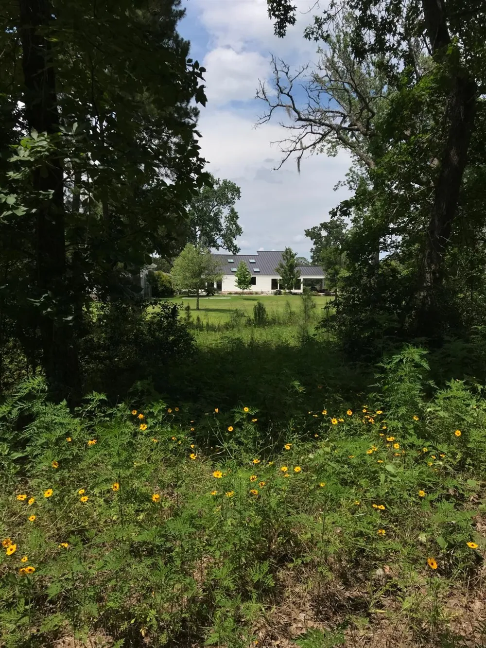 22984 Nichols Sawmill Road Hockley, TX 77447