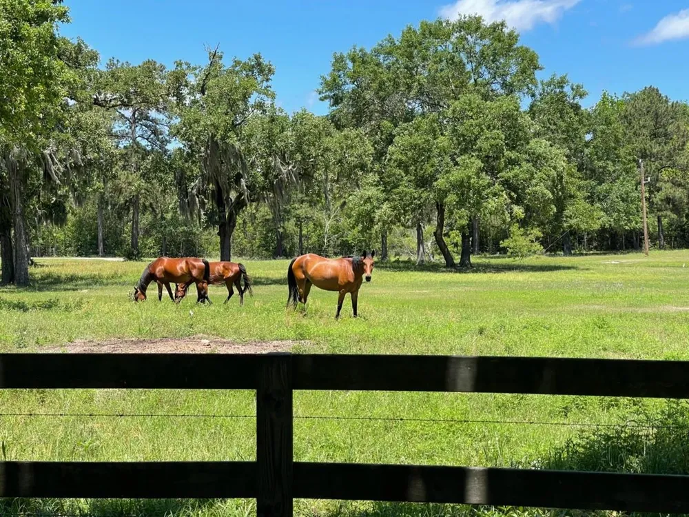 22984 Nichols Sawmill Road Hockley, TX 77447