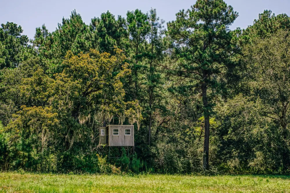 22984 Nichols Sawmill Road Hockley, TX 77447