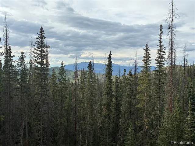 9AC Clinton Road San Luis, CO 81152