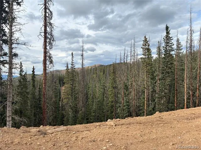 9AC Clinton Road San Luis, CO 81152