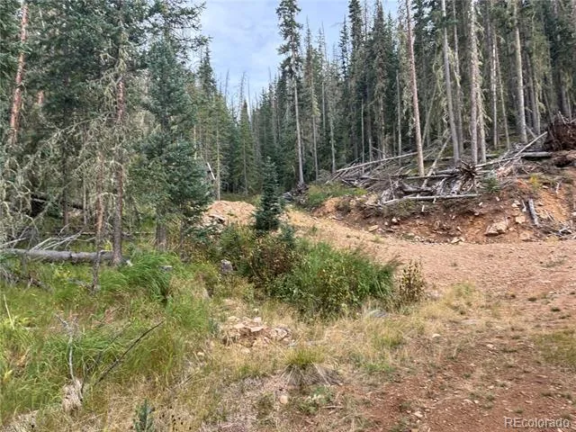 9AC Clinton Road San Luis, CO 81152