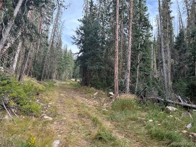 9AC Clinton Road San Luis, CO 81152