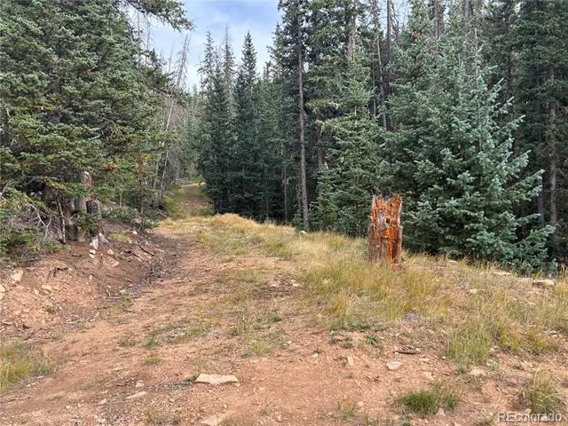9AC Clinton Road San Luis, CO 81152