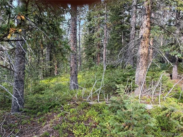 9AC Clinton Road San Luis, CO 81152