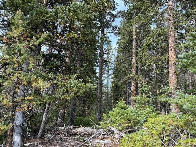 9AC Clinton Road San Luis, CO 81152