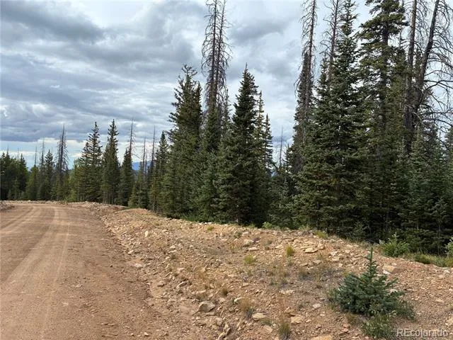 9AC Clinton Road San Luis, CO 81152