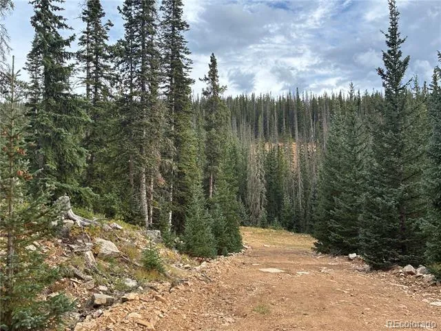 9AC Clinton Road San Luis, CO 81152