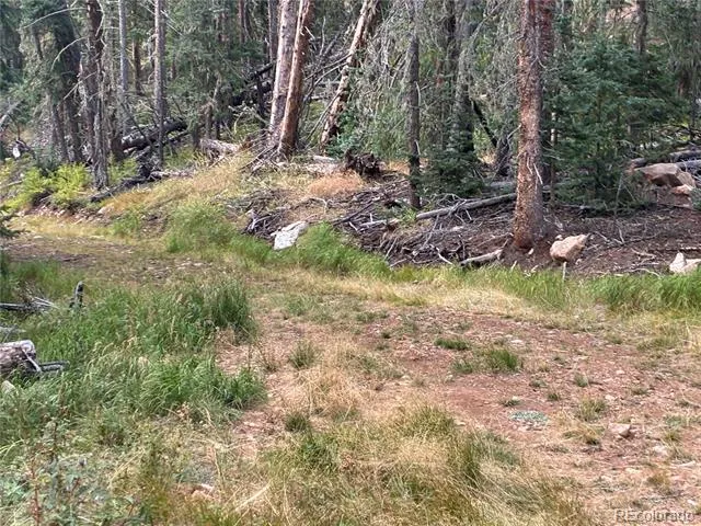 9AC Clinton Road San Luis, CO 81152