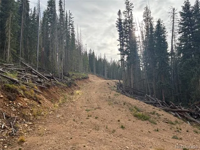 9AC Clinton Road San Luis, CO 81152