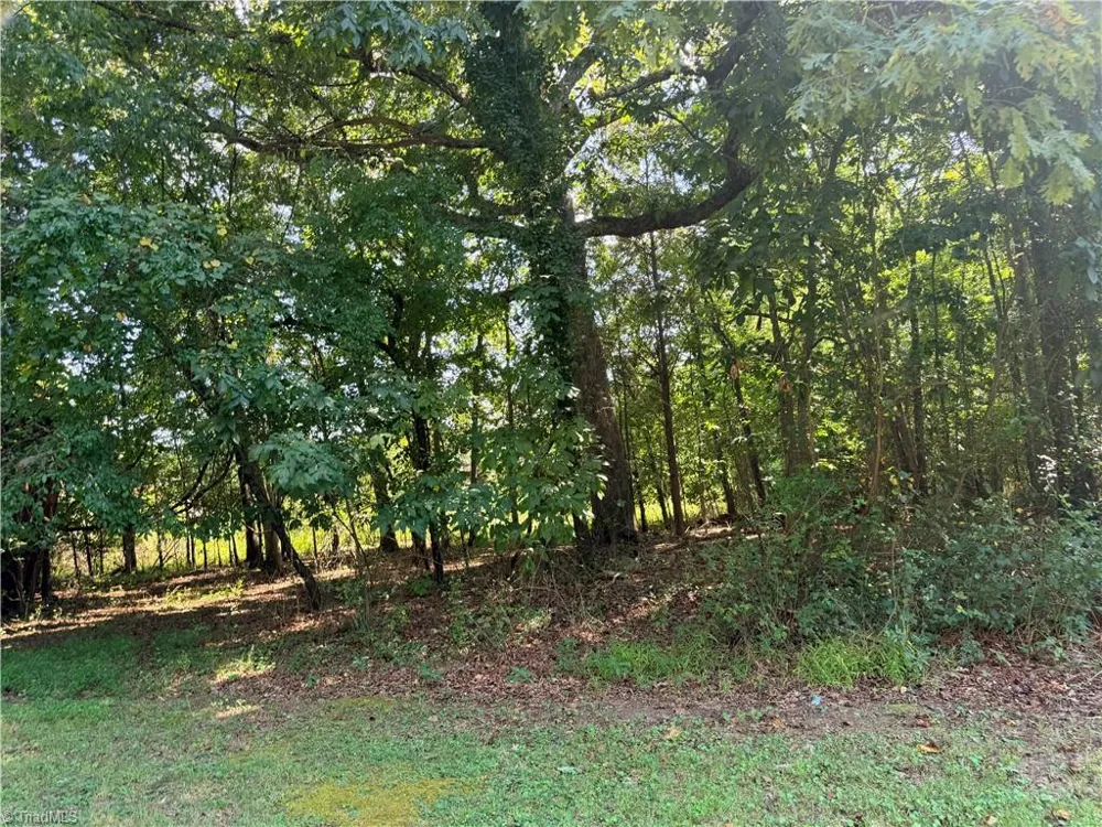 1534 Skeet Club Road High Point, NC 27265