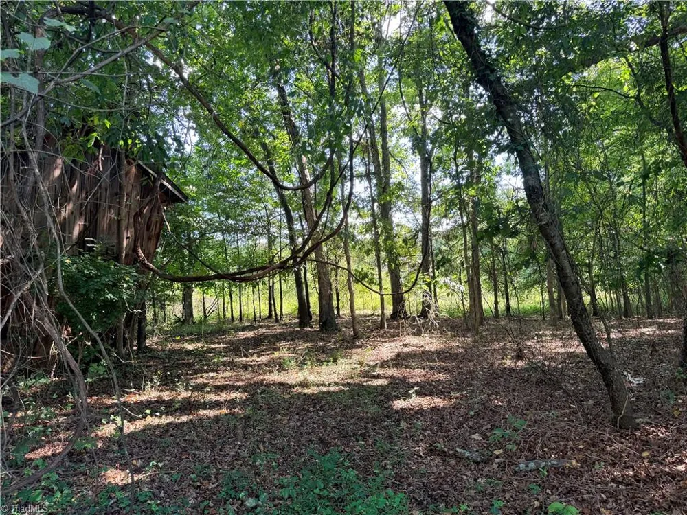 1534 Skeet Club Road High Point, NC 27265