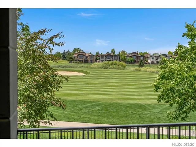 6355 Crooked Stick Drive Windsor, CO 80550