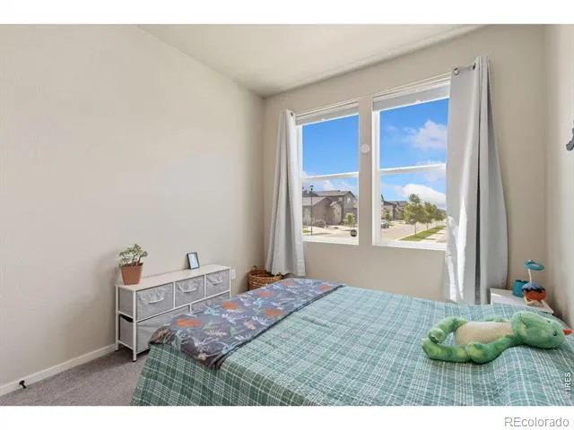 2968 Coleman Street Fort Collins, CO 80524