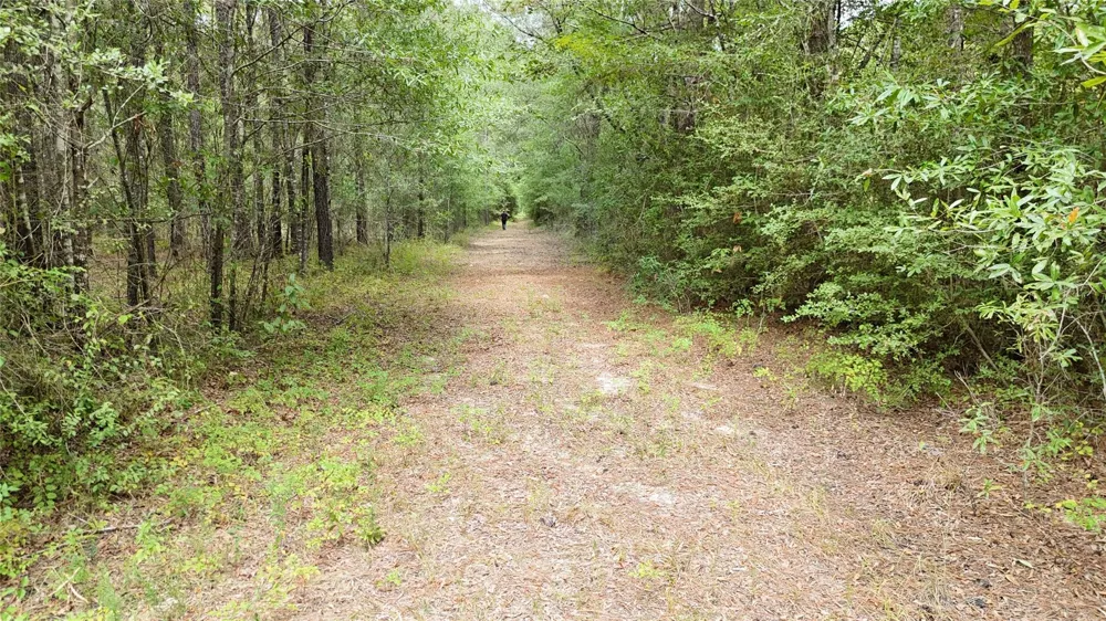 Douglas Nugent Road Livingston, TX 77351