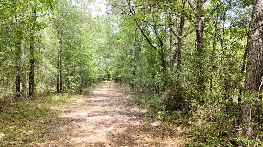 Douglas Nugent Road Livingston, TX 77351