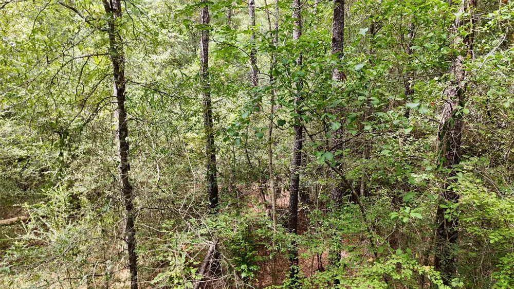 Douglas Nugent Road Livingston, TX 77351