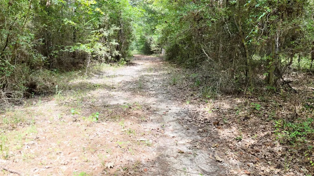 Douglas Nugent Road Livingston, TX 77351