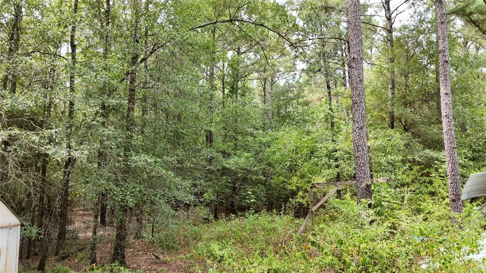 Douglas Nugent Road Livingston, TX 77351