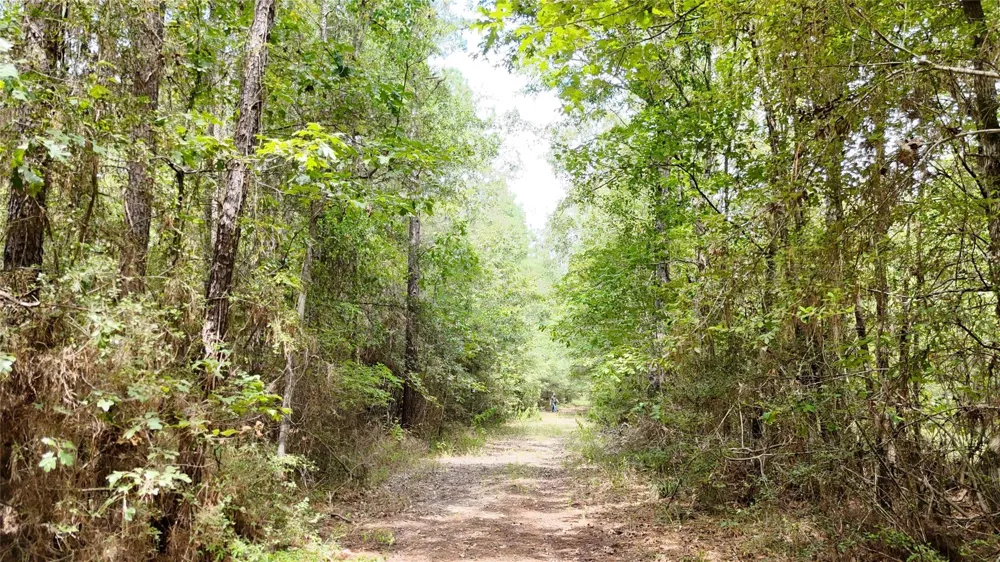 Douglas Nugent Road Livingston, TX 77351