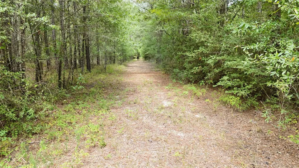 Douglas Nugent Road Livingston, TX 77351