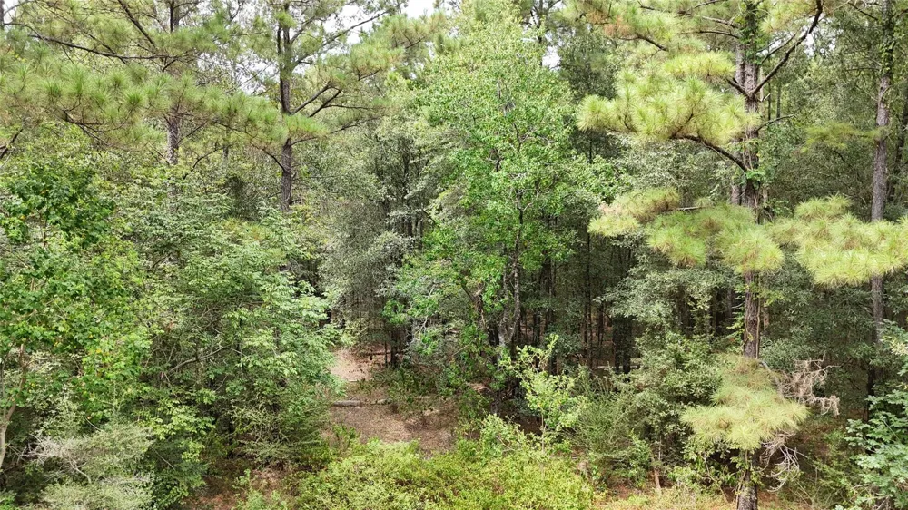 Douglas Nugent Road Livingston, TX 77351