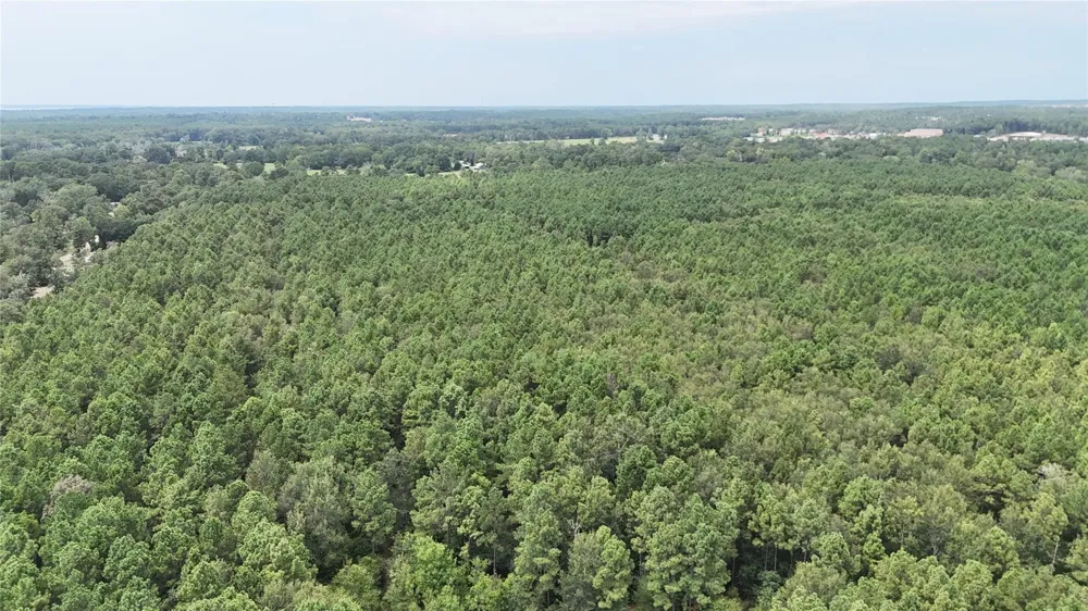 Douglas Nugent Road Livingston, TX 77351