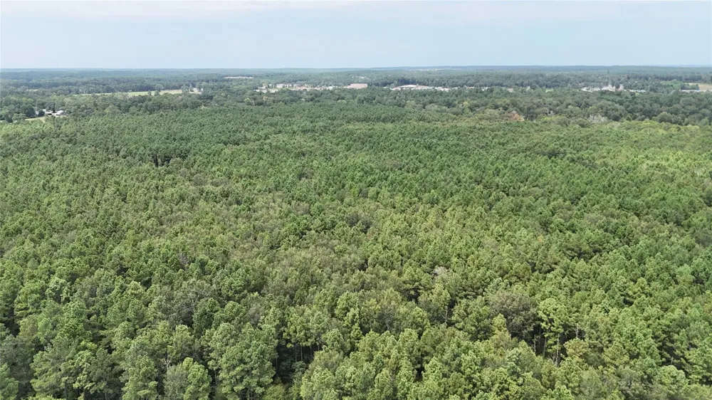 Douglas Nugent Road Livingston, TX 77351