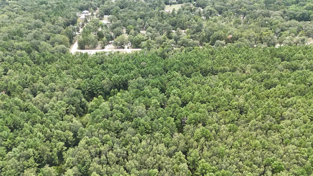 Douglas Nugent Road Livingston, TX 77351