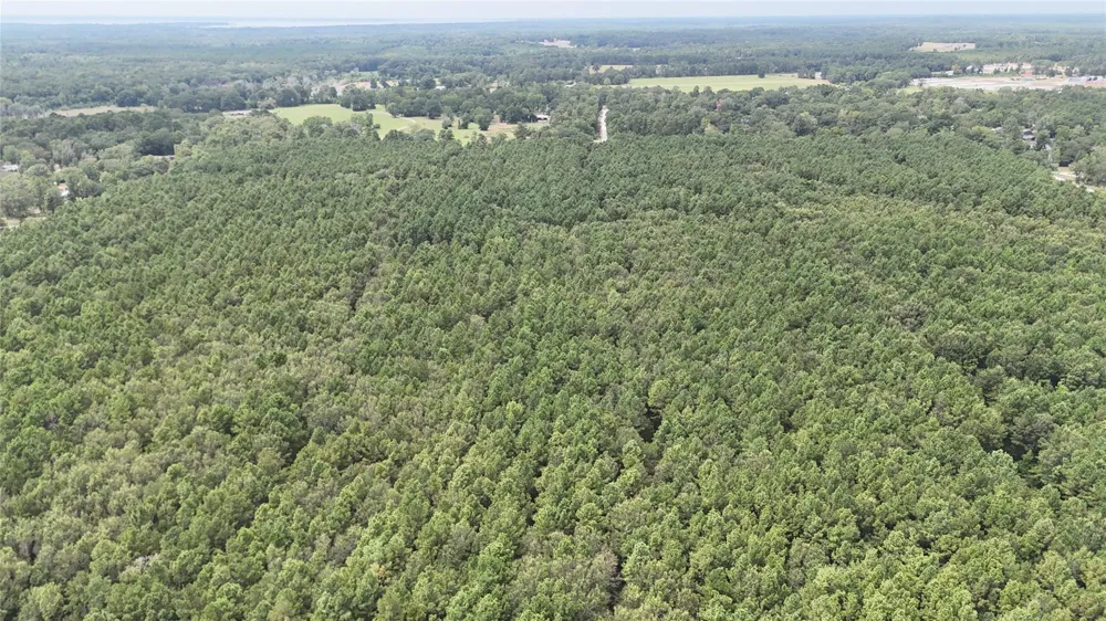 Douglas Nugent Road Livingston, TX 77351