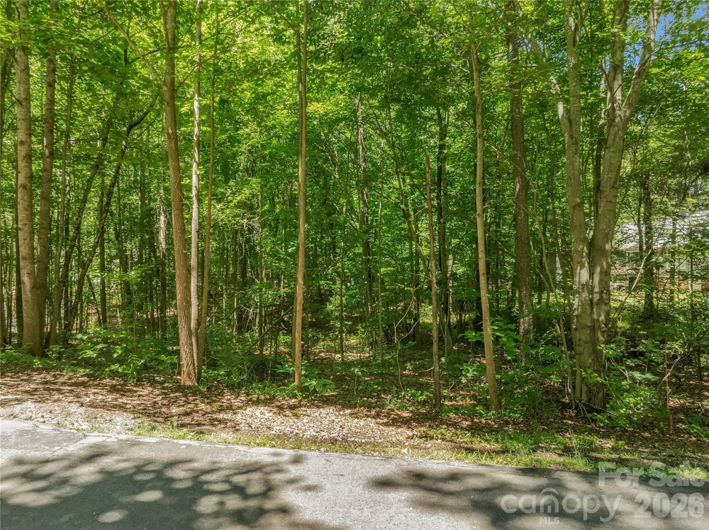 0 Nablus Drive #5 Waxhaw, NC 28173