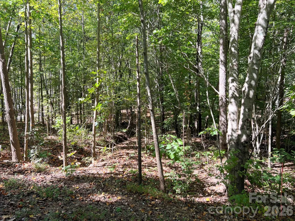 0 Nablus Drive #5 Waxhaw, NC 28173