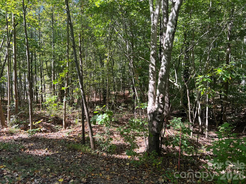 0 Nablus Drive #5 Waxhaw, NC 28173
