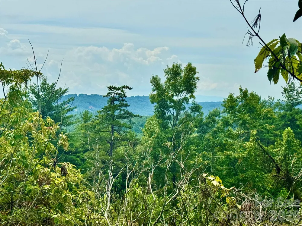 1.46 acres, Lot 48 Tomahawk Ridge Drive #Lot 48 Lenoir, NC 28645