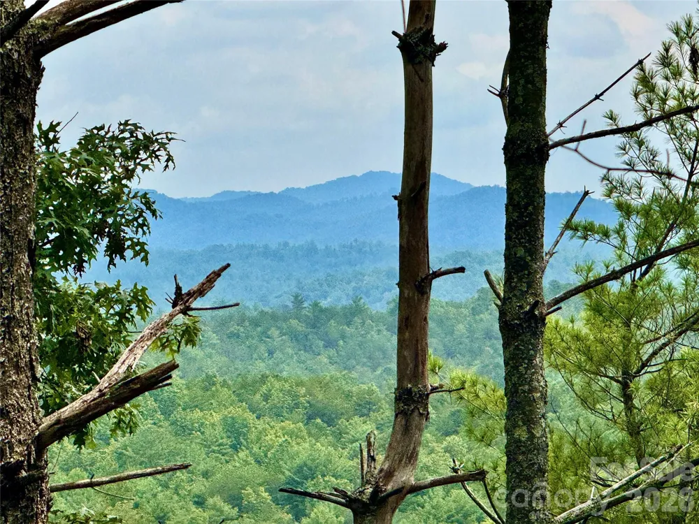 1.46 acres, Lot 48 Tomahawk Ridge Drive #Lot 48 Lenoir, NC 28645