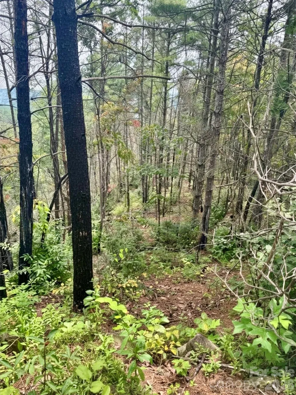 1.46 acres, Lot 48 Tomahawk Ridge Drive #Lot 48 Lenoir, NC 28645