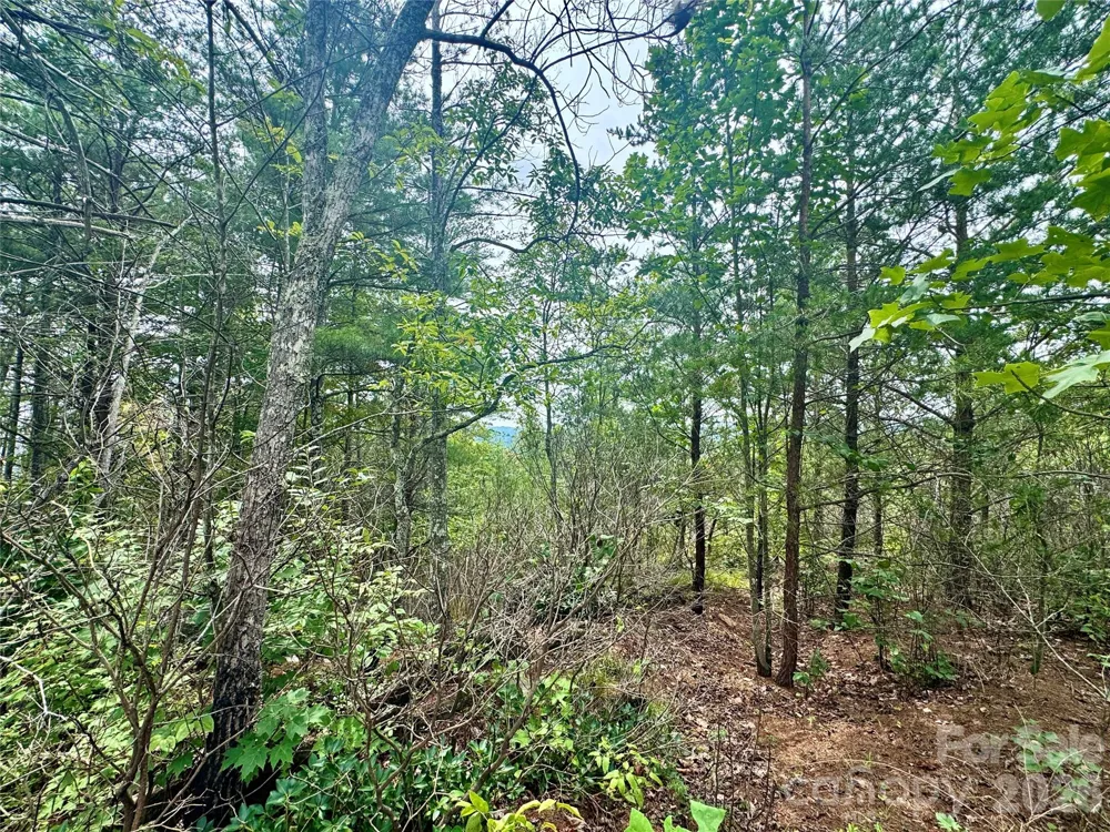 1.46 acres, Lot 48 Tomahawk Ridge Drive #Lot 48 Lenoir, NC 28645