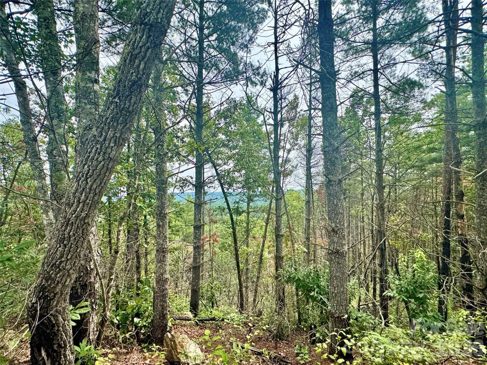 1.46 acres, Lot 48 Tomahawk Ridge Drive #Lot 48 Lenoir, NC 28645