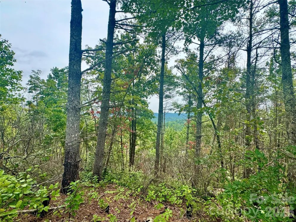 1.46 acres, Lot 48 Tomahawk Ridge Drive #Lot 48 Lenoir, NC 28645