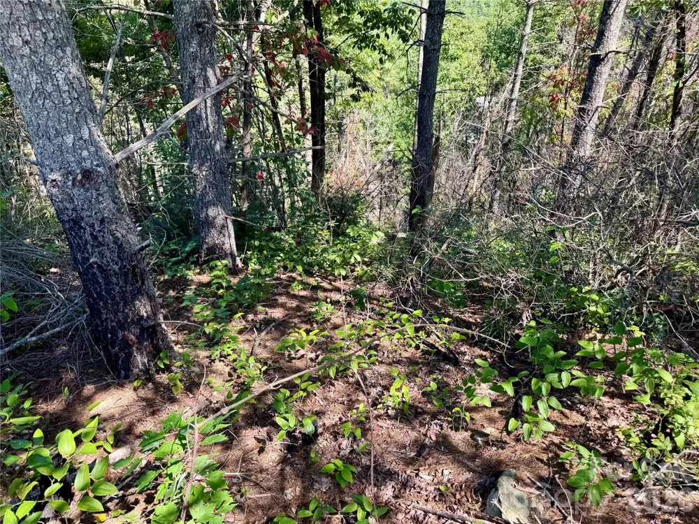 1.46 acres, Lot 48 Tomahawk Ridge Drive #Lot 48 Lenoir, NC 28645
