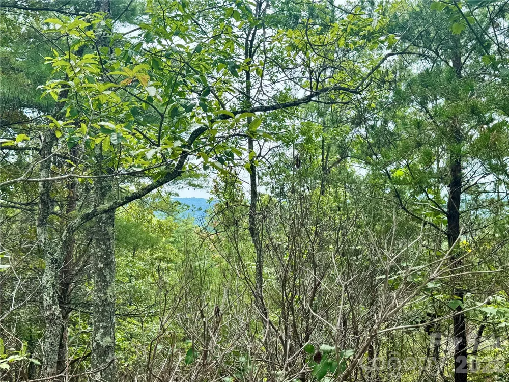 1.46 acres, Lot 48 Tomahawk Ridge Drive #Lot 48 Lenoir, NC 28645