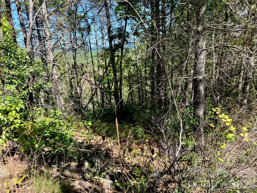 1.46 acres, Lot 48 Tomahawk Ridge Drive #Lot 48 Lenoir, NC 28645