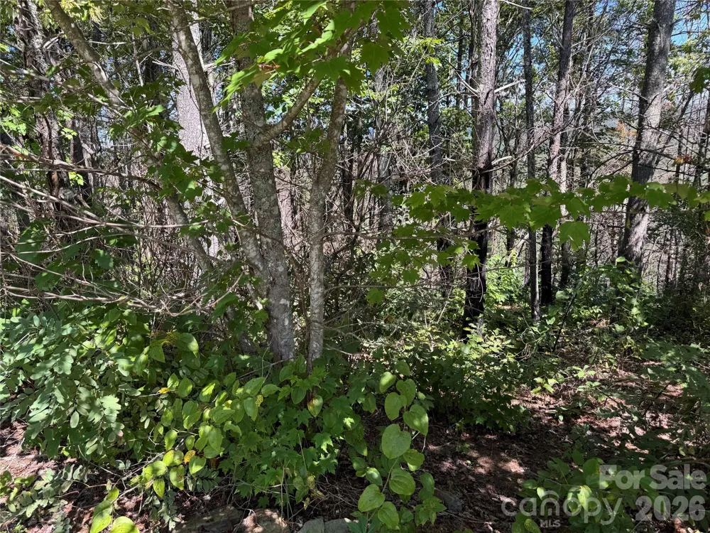 1.46 acres, Lot 48 Tomahawk Ridge Drive #Lot 48 Lenoir, NC 28645