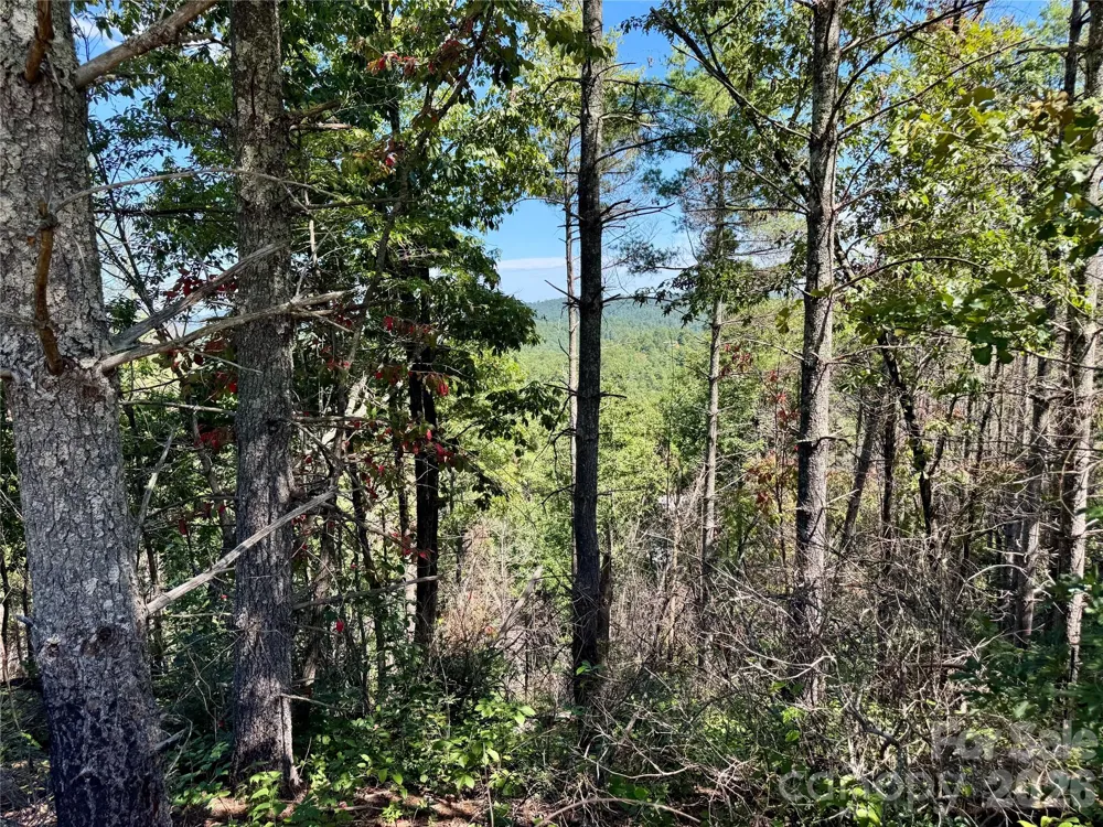 1.46 acres, Lot 48 Tomahawk Ridge Drive #Lot 48 Lenoir, NC 28645