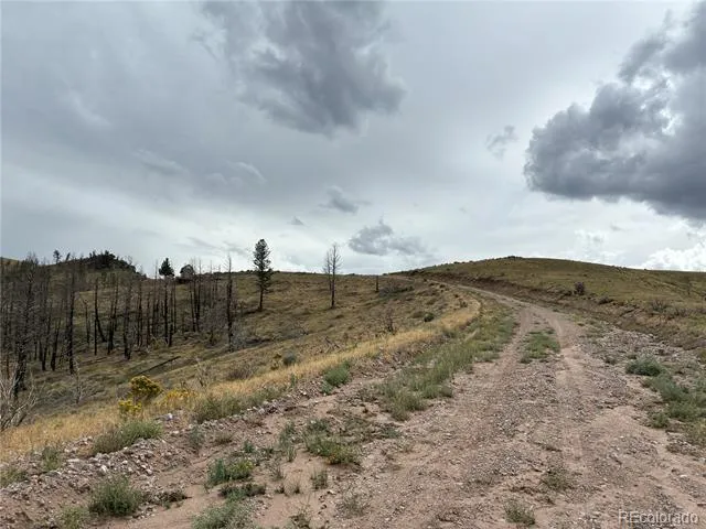 LOT 7726 DE Montalambert Road Fort Garland, CO 81133