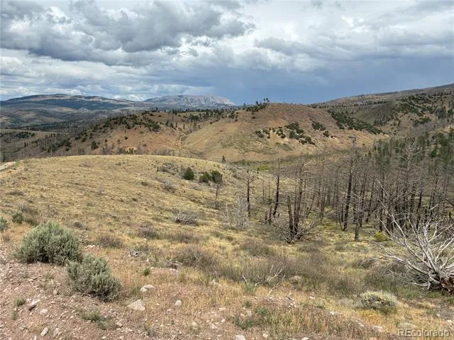 LOT 7726 DE Montalambert Road Fort Garland, CO 81133