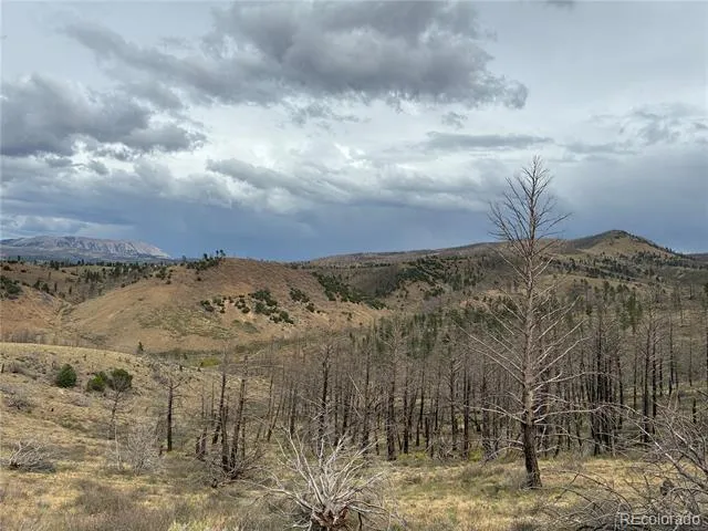 LOT 7726 DE Montalambert Road Fort Garland, CO 81133