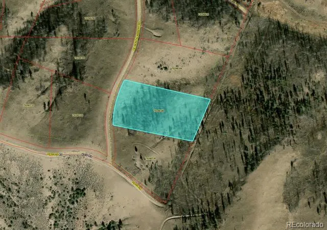 LOT 7726 DE Montalambert Road Fort Garland, CO 81133