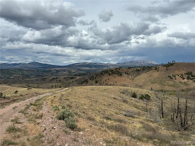 LOT 7726 DE Montalambert Road Fort Garland, CO 81133
