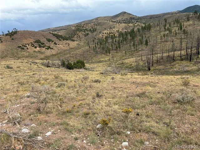 LOT 7726 DE Montalambert Road Fort Garland, CO 81133